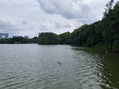-海珠湖公园