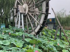 -河北村民俗体验园