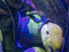 -太平洋海底世界