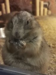 -酷嗒动物文化乐园(cutezoo西溪乐天城店)