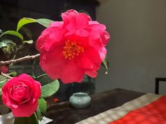 -青藤茶馆(凤起路店)