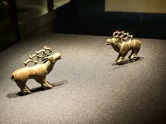 -张掖市博物馆