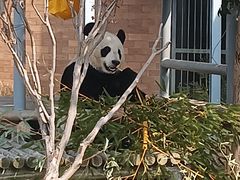 -苏州太湖国家湿地公园