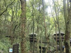 -富春桃源风景区