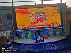 -成都浩海立方海洋公园