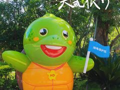 -广东惠东海龟国家级自然保护区