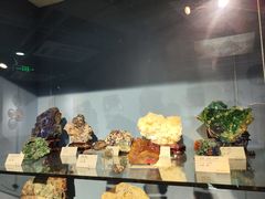 -河南自然博物馆