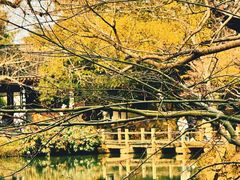 -惠山古镇·寄畅园