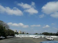 -胜华驾校·小猫学车(银都店)