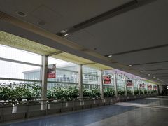 -中部国际机场