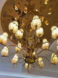 -南京医科大学友谊整形外科医院