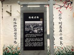 -空港花田景区