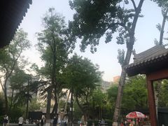 -莲湖公园