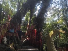 -七仙岭温泉国家森林公园