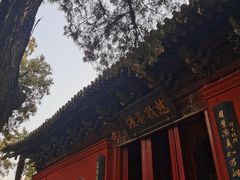 -洛阳白马寺