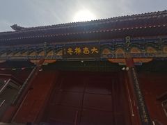 -大悲禅寺