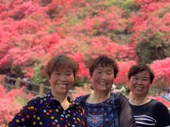 -木兰云雾山