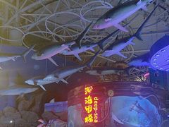 -烟台海昌鲸鲨海洋公园