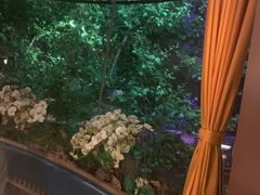 -沪小胖小龙虾(淮海中路旗舰店)
