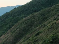 -西涌国际滨海旅游区