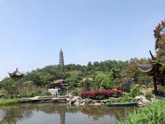 -顺峰山公园