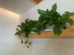 -金塔傣乡·云南民族特色菜·傣味手抓饭(金瓦路店)