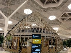 -盖达尔·阿利耶夫国际机场
