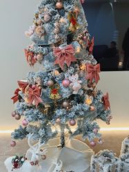 -VE专注问题肌·赛诺龙&科学美肤中心