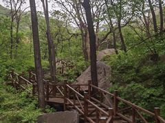 -大岭沟猕猴桃谷风景区