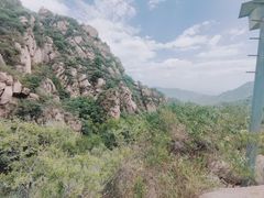 -大岭沟猕猴桃谷风景区
