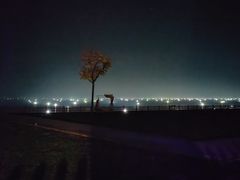 -黄河三峡风景名胜区