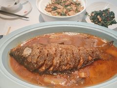 -阿五黄河大鲤鱼(英协路店)