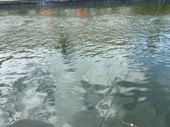 -DGE季风钓虾营地·团建·聚会