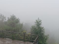 -千岛湖天屿景区