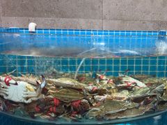 -蓝珊甄选海鲜自助·火锅大排档(近阿那亚店)