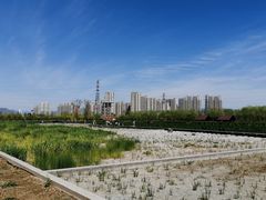 -永定河休闲森林公园