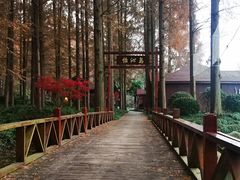 -上海怡沁园度假酒店
