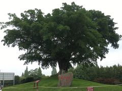 -邓小平故里