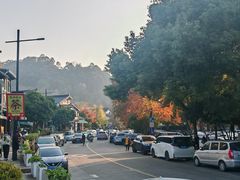 -欣怡茶庄·始于1999(梅家坞店)