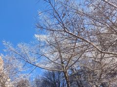 -崂山巨峰游览区