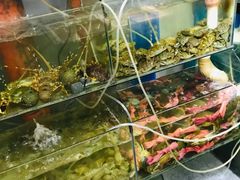 水产区-美味海鲜大排档(明发美食地标店)