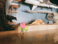 -浙江自然博物院(杭州馆)
