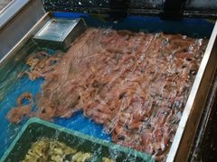 -万宝海鲜舫(劳动公园店)