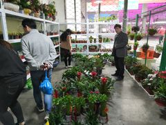 -新农都水产市场