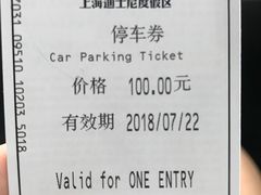 -迪士尼乐园停车场