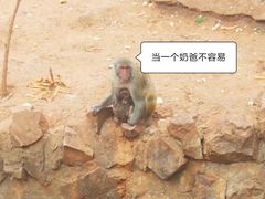 -昆明动物园