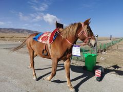 -青海湖国家重点风景名胜区