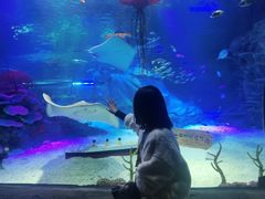 -沈阳海洋探索中心