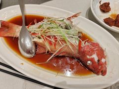 -新吉士·上海菜(浦东LCM置汇旭辉店)