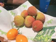 -季季山·云南野生菌火锅(上海首店)